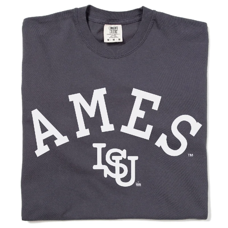 Ames Vintage Curved Logo Heavyweight Charcoal