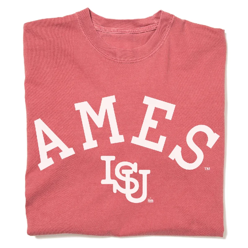 Ames Vintage Curved Logo Heavyweight Red